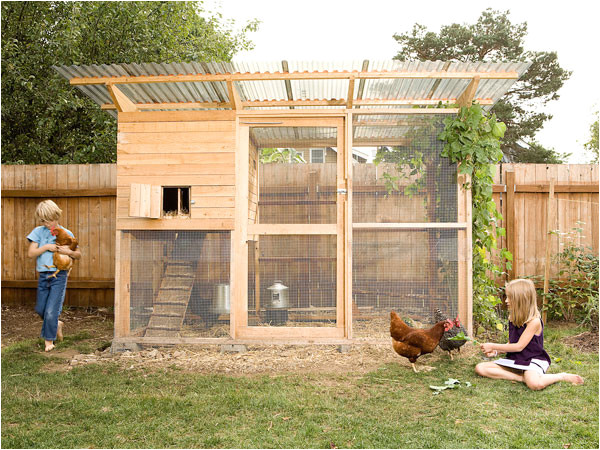Hen House Building Plans Garden Coop Building Plans Up to 8 Chickens Hen House Building Plans Garden Coop Building Plans Up to 8 Chickens