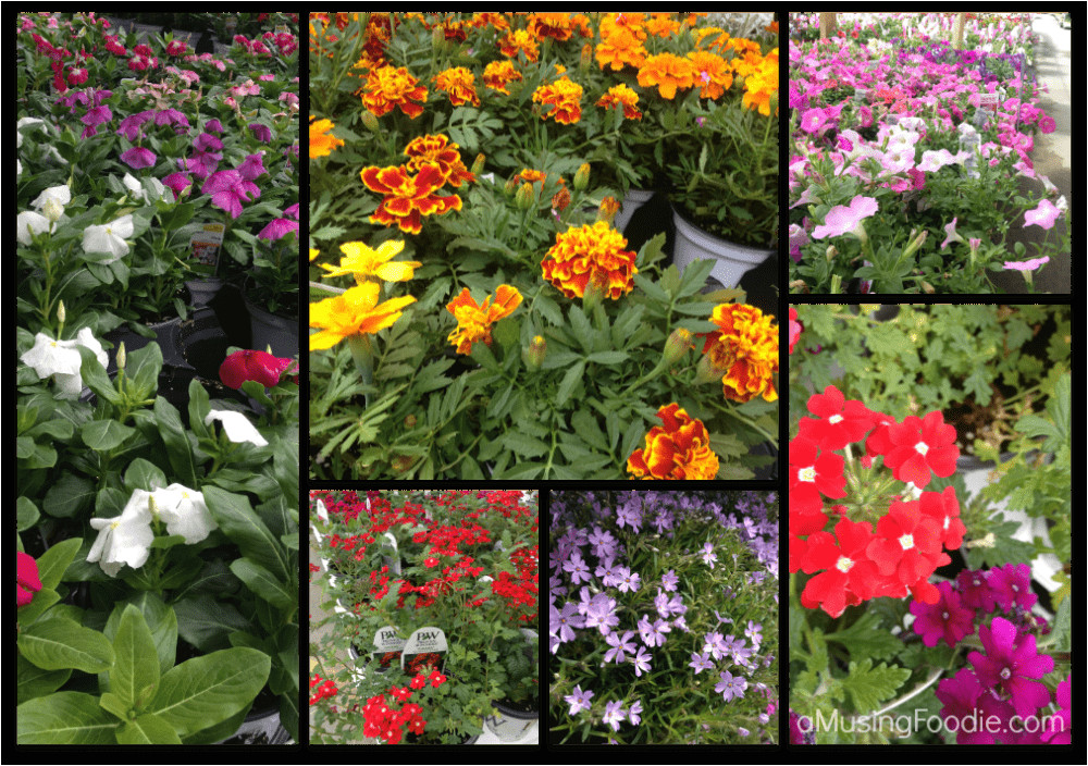 Home Depot Vertical Garden Plans Vertical Garden Project Buying the Materials Digin A Home Depot Vertical Garden Plans Vertical Garden Project Buying the Materials Digin A