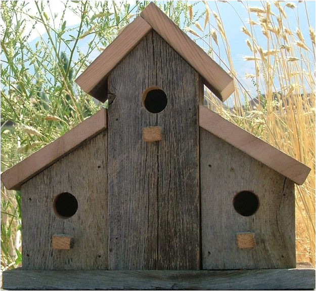 Large Bird House Plans Barn Birdhouse Pictures Joy Studio Design Gallery Best