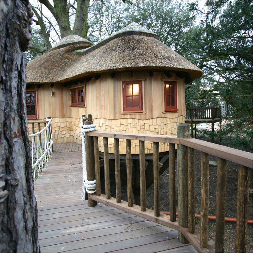 Livable Tree House Plans British Family is Living the Highlife In Treehouses by Livable Tree House Plans British Family is Living the Highlife In Treehouses by