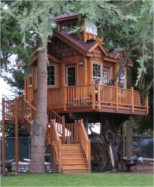 Livable Tree House Plans Casa Na Arvore 60 Modelos Para Adultos E Criancas Livable Tree House Plans Casa Na Arvore 60 Modelos Para Adultos E Criancas