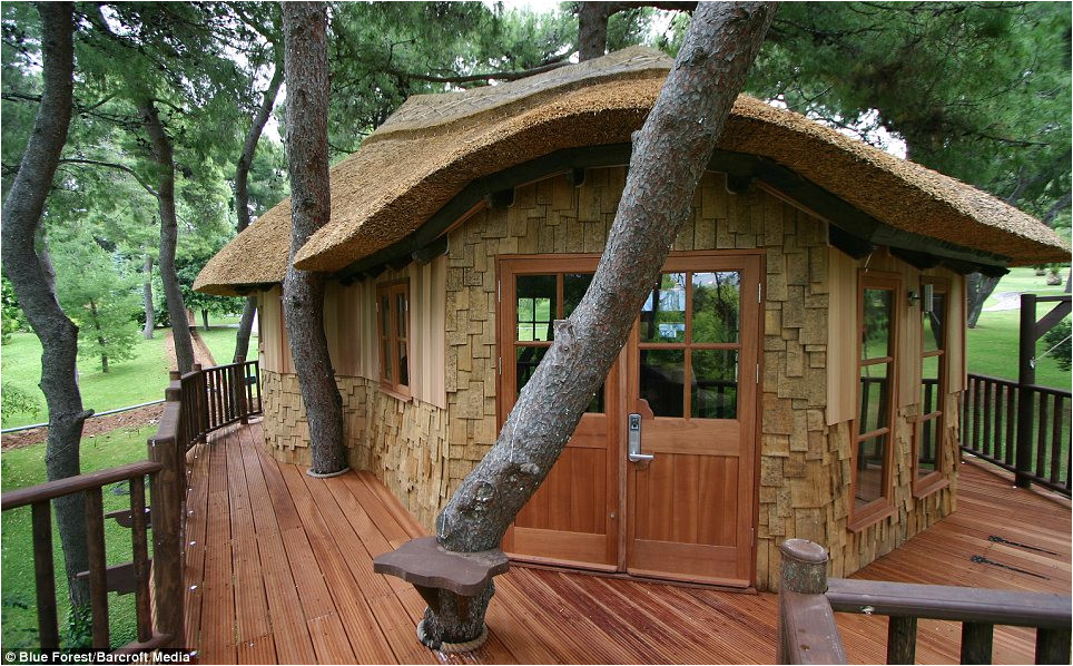 Livable Tree House Plans now that 39 S A Real Millionaire Play Pad the Luxury Tree