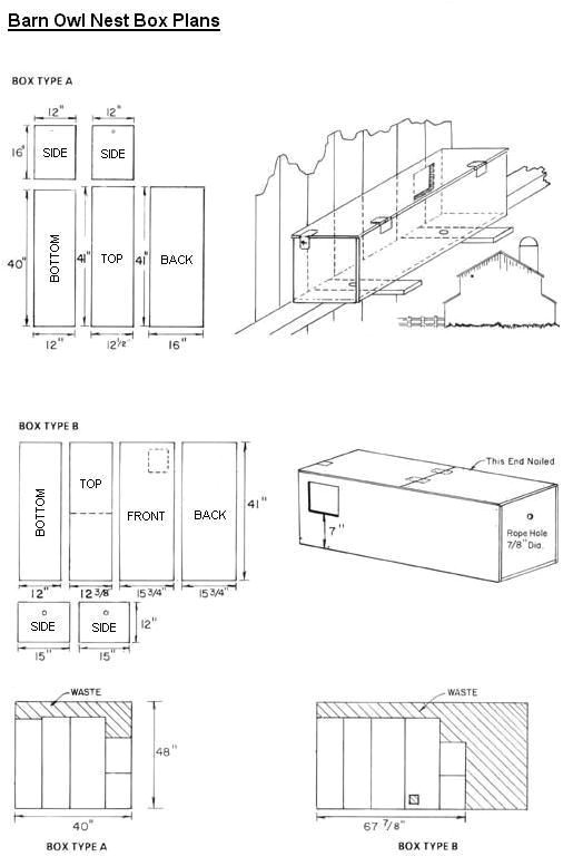 Owl House Plans Free Barn Owl Nest Box for Sale Woodworking Projects Plans Owl House Plans Free Barn Owl Nest Box for Sale Woodworking Projects Plans