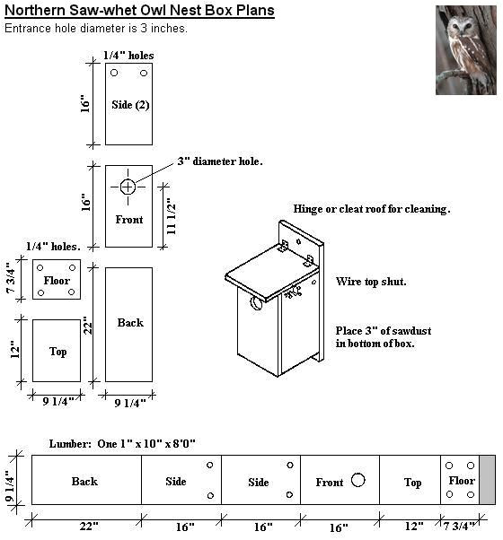 Owl House Plans Free Best 25 Owl House Ideas On Pinterest Owl Box Nest Box Owl House Plans Free Best 25 Owl House Ideas On Pinterest Owl Box Nest Box