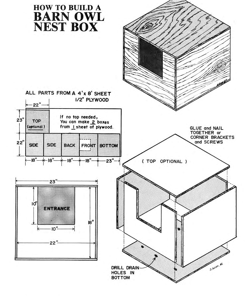 Owl House Plans Free Eastern Screech Owl House Plans Owl House Plans Free Eastern Screech Owl House Plans