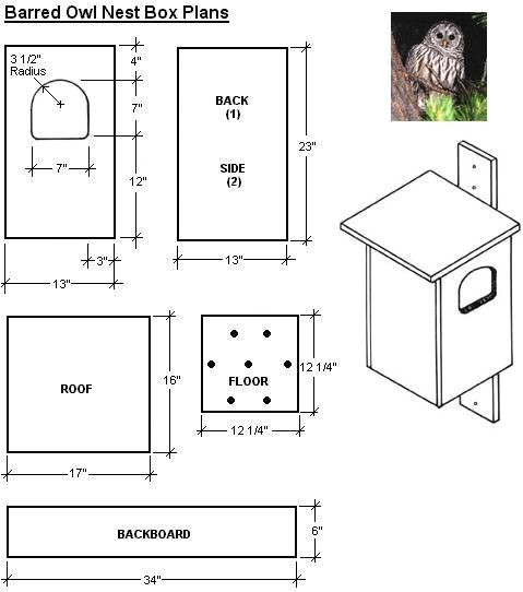 Owl House Plans Free Free Easy Bird House Plan Screech Owl Bird House Owl House Plans Free Free Easy Bird House Plan Screech Owl Bird House