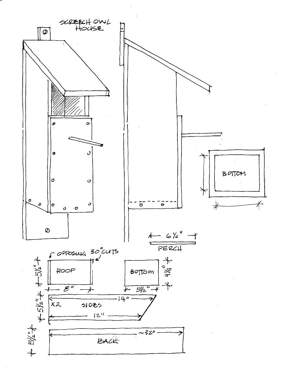 Owl House Plans Free Plans to Build Bird House Plans Owl Pdf Plans