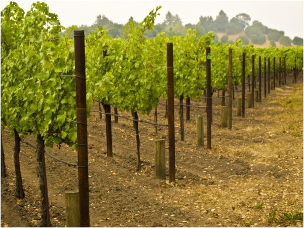 Placement Plans Children039s Homes 60 New Collection Placement Plans Children 39 S Homes Home Placement Plans Children039s Homes 60 New Collection Placement Plans Children 39 S Homes Home