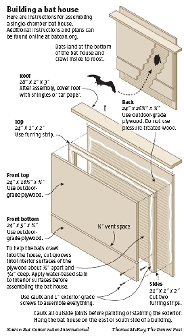 Plans for Building A Bat House May 2008 the Lazy Homesteader Plans for Building A Bat House May 2008 the Lazy Homesteader