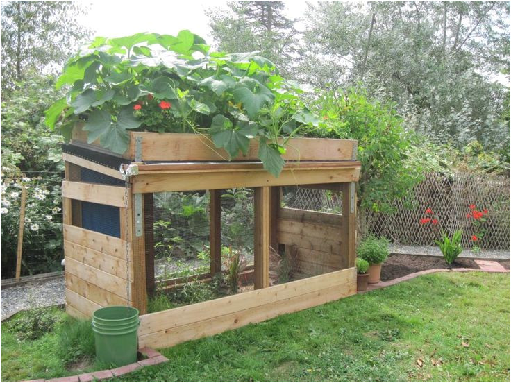 Quail Housing Plans 1000 Images About Chickens On Pinterest Chicken Eggs Quail Housing Plans 1000 Images About Chickens On Pinterest Chicken Eggs