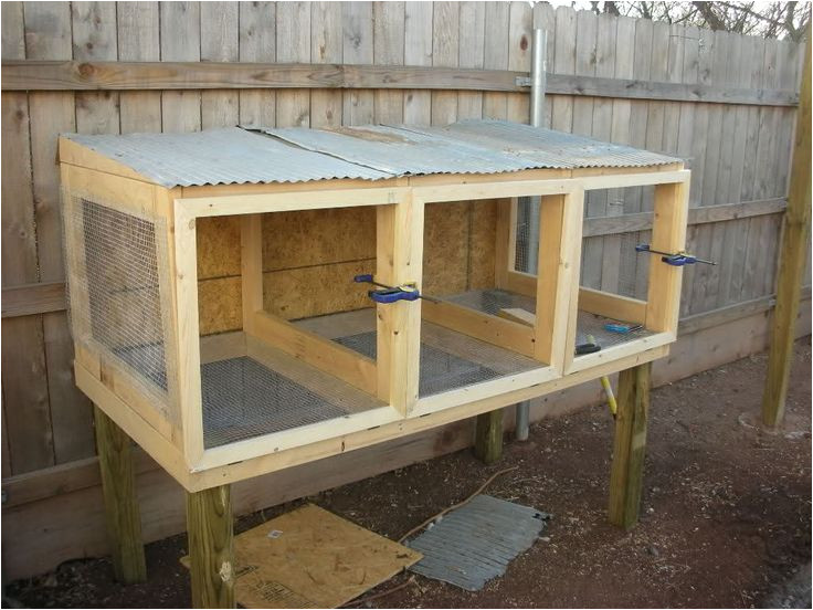 Quail Housing Plans 214 Best Images About Tiny button Quail Care Housing On Quail Housing Plans 214 Best Images About Tiny button Quail Care Housing On