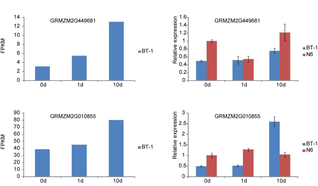 Take It Home today Major Purchase Plan 30 Ft Wide House Plans Unique 16 Feet Wide House Plans Take It Home today Major Purchase Plan 30 Ft Wide House Plans Unique 16 Feet Wide House Plans