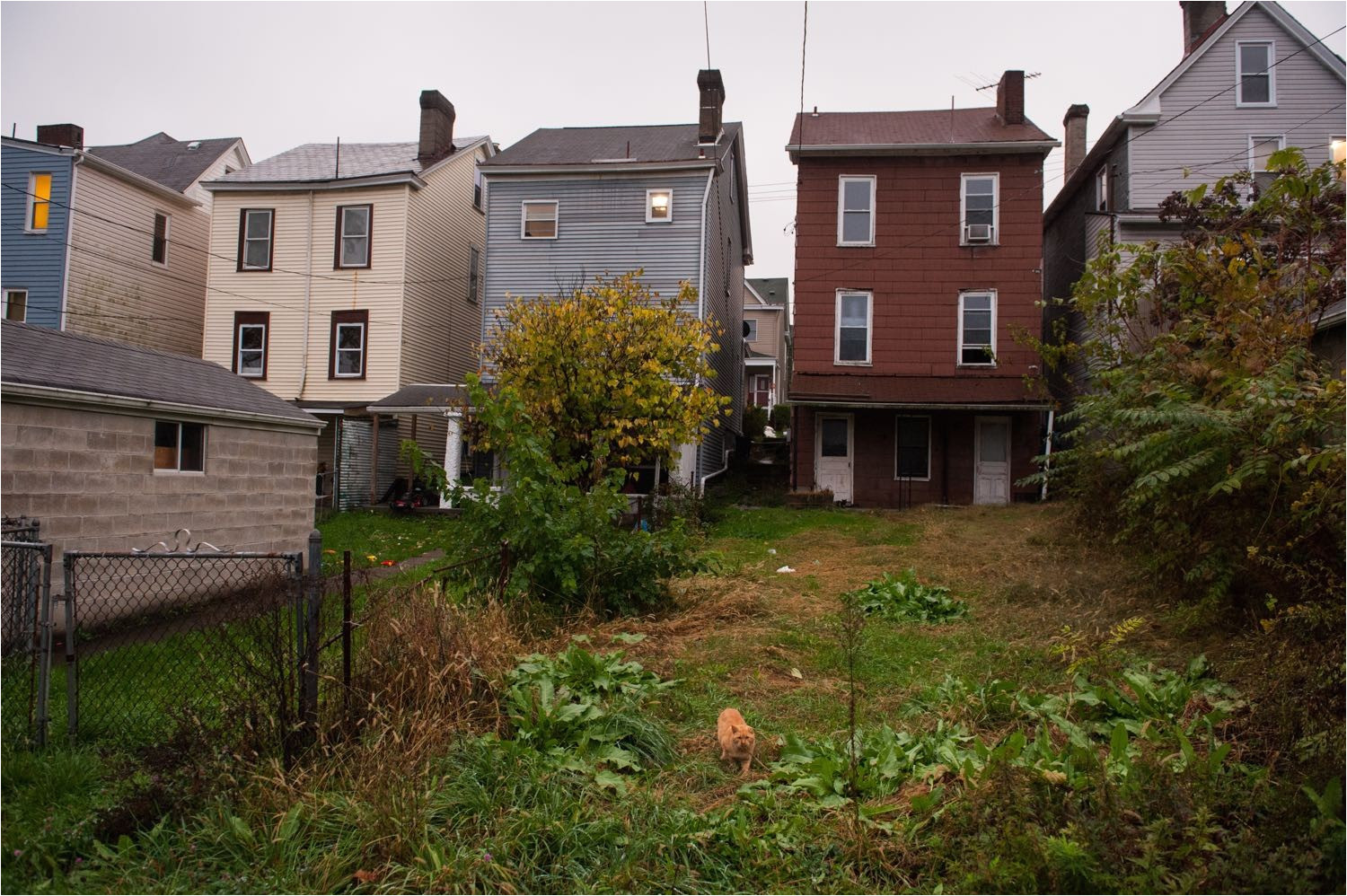 Take It Home today Major Purchase Plan Take It Home today Major Purchase Plan Best Of Riding Od Take It Home today Major Purchase Plan Take It Home today Major Purchase Plan Best Of Riding Od