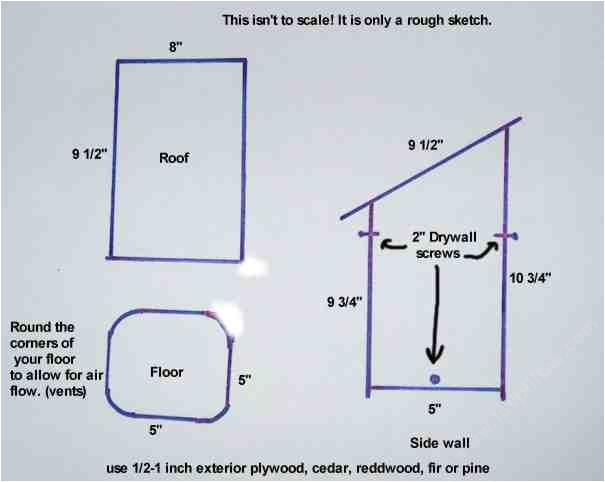 Western Bluebird House Plans Information About Western Bluebirds and How to Build A