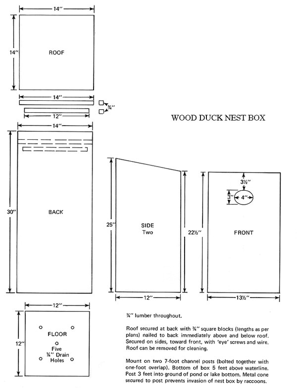 Wood Duck Bird House Plans Wood Duck Birdhouse Plans House Plans Home Designs Wood Duck Bird House Plans Wood Duck Birdhouse Plans House Plans Home Designs