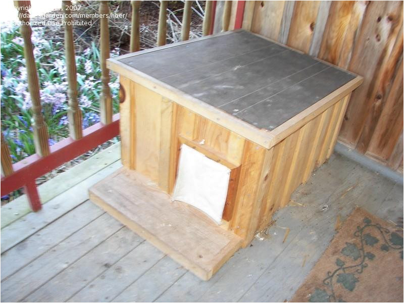 Wooden Cat House Plans Wooden Cat House Plans Escortsea Wooden Cat House Plans Wooden Cat House Plans Escortsea