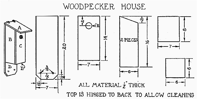 Woodpecker Bird House Plans Build A Woodpecker House