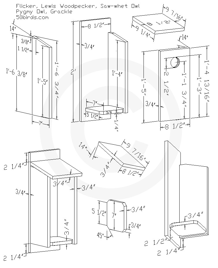 Woodpecker House Plans Owl Woodpecker Nest Box Plans 70birds Birdhouse Plans Index Woodpecker House Plans Owl Woodpecker Nest Box Plans 70birds Birdhouse Plans Index