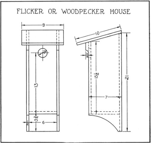 Woodpecker House Plans Pileated Woodpecker Bird House Plans Woodworktips