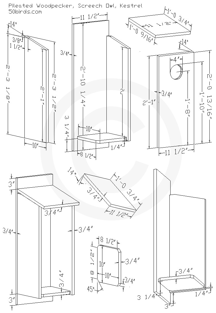 Woodpecker House Plans Pileated Woodpecker Birdhouse Plans 50birds Woodpecker House Plans Pileated Woodpecker Birdhouse Plans 50birds