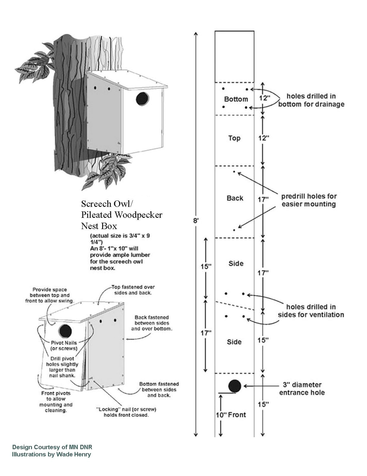 Woodpecker House Plans Wild Birds Unlimited is there A Pileated Woodpecker Nest Box Woodpecker House Plans Wild Birds Unlimited is there A Pileated Woodpecker Nest Box