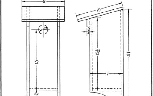 Woodpecker House Plans Woodpecker House Plans 28 Images Free Plans for Woodpecker House Plans Woodpecker House Plans 28 Images Free Plans for