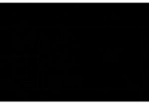 14×60 Mobile Home Floor Plans Flora 14 X 60 799 Sqft Mobile Home Factory Expo Home Centers 14×60 Mobile Home Floor Plans Flora 14 X 60 799 Sqft Mobile Home Factory Expo Home Centers