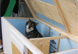 2 Room Dog House Plans 2 Room Dog House Plans Awesome Enchanting 2 Room Dog House