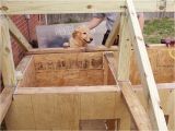 2 Room Dog House Plans Two Room Dog House Plans Fresh Meet the Winners Of the