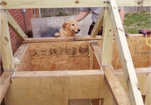 2 Room Dog House Plans Two Room Dog House Plans Fresh Meet the Winners Of the