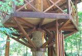 Adult Tree House Plans 18 Best Images About Treehouse On Pinterest Kid Tree
