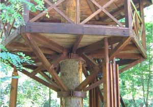 Adult Tree House Plans 18 Best Images About Treehouse On Pinterest Kid Tree Adult Tree House Plans 18 Best Images About Treehouse On Pinterest Kid Tree