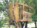 Adult Tree House Plans 30 Diy Tree House Plans Design Ideas for Adult and Kids