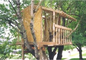 Adult Tree House Plans 30 Diy Tree House Plans Design Ideas for Adult and Kids Adult Tree House Plans 30 Diy Tree House Plans Design Ideas for Adult and Kids