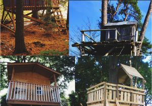 Adult Tree House Plans 30 Diy Tree House Plans Design Ideas for Adult and Kids Adult Tree House Plans 30 Diy Tree House Plans Design Ideas for Adult and Kids