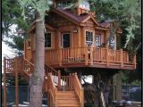 Adult Tree House Plans 67 Best Tree Houses Images On Pinterest Tree Houses