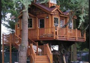 Adult Tree House Plans 67 Best Tree Houses Images On Pinterest Tree Houses Adult Tree House Plans 67 Best Tree Houses Images On Pinterest Tree Houses