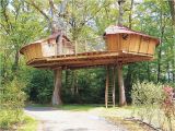 Adult Tree House Plans Adult Tree House Plans Best Of Outdoor Awesome Treehouse