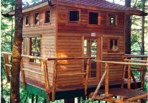 Adult Tree House Plans Adult Tree House Plans Inspirational How to Build A Tree