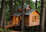 Adult Tree House Plans Adult Tree House Plans New Adults who Live In Treehouses