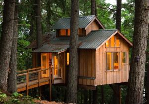 Adult Tree House Plans Adult Tree House Plans New Adults who Live In Treehouses Adult Tree House Plans Adult Tree House Plans New Adults who Live In Treehouses