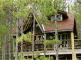 Adult Tree House Plans Ideal World Everyone Should Have An Adult Tree House