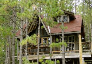 Adult Tree House Plans Ideal World Everyone Should Have An Adult Tree House Adult Tree House Plans Ideal World Everyone Should Have An Adult Tree House