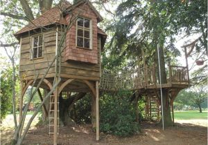 Adult Tree House Plans Over 1000 Ideer Om Huse I Traeer Pa Pinterest Trae Huse Adult Tree House Plans Over 1000 Ideer Om Huse I Traeer Pa Pinterest Trae Huse
