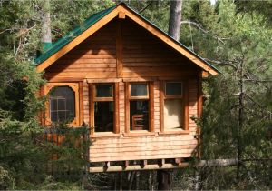 Adult Tree House Plans Pictures Of Tree Houses and Play Houses From Around the Adult Tree House Plans Pictures Of Tree Houses and Play Houses From Around the