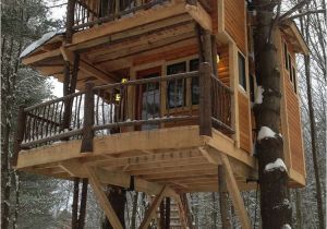 Adult Tree House Plans the 25 Coolest Adult Treehouses On the Planet Suburban Men Adult Tree House Plans the 25 Coolest Adult Treehouses On the Planet Suburban Men
