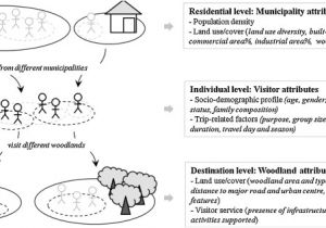 Ars Home Service Plan 30 Best Of Images Of Ars Home Service Plan Rottweiler