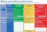 Asthma Home Management Plan Of Care 72 Best Images About asthma Sucks On Pinterest Seasonal