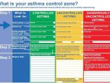 Asthma Home Management Plan Of Care 72 Best Images About asthma Sucks On Pinterest Seasonal