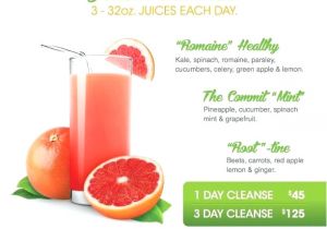 At Home Juice Cleanse Plan 59 Fresh Gallery at Home Juice Cleanse Plan Home Plans